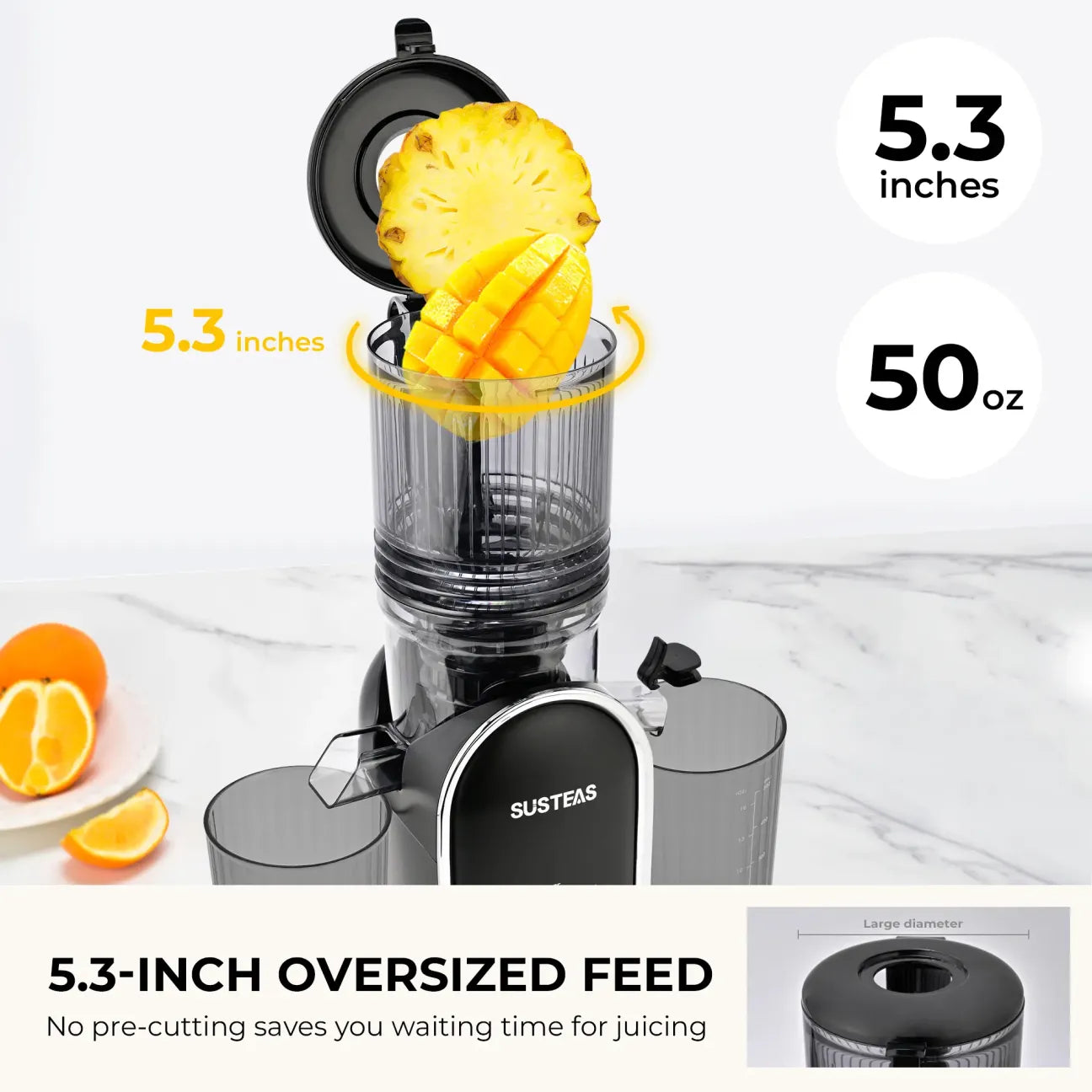 Portatile Cold Press Juicer - High Yield & Easy Clean