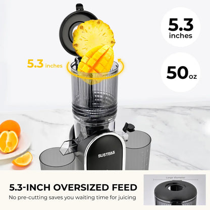 Portatile Cold Press Juicer - High Yield & Easy Clean