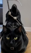 Headless Horseman Cat Costume, Funny Halloween Pet Outfit, Novelty Cosplay Costume for Cats